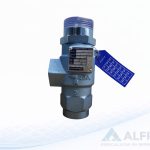 Válvula de seguridad  1/2 X 1 175 PSI